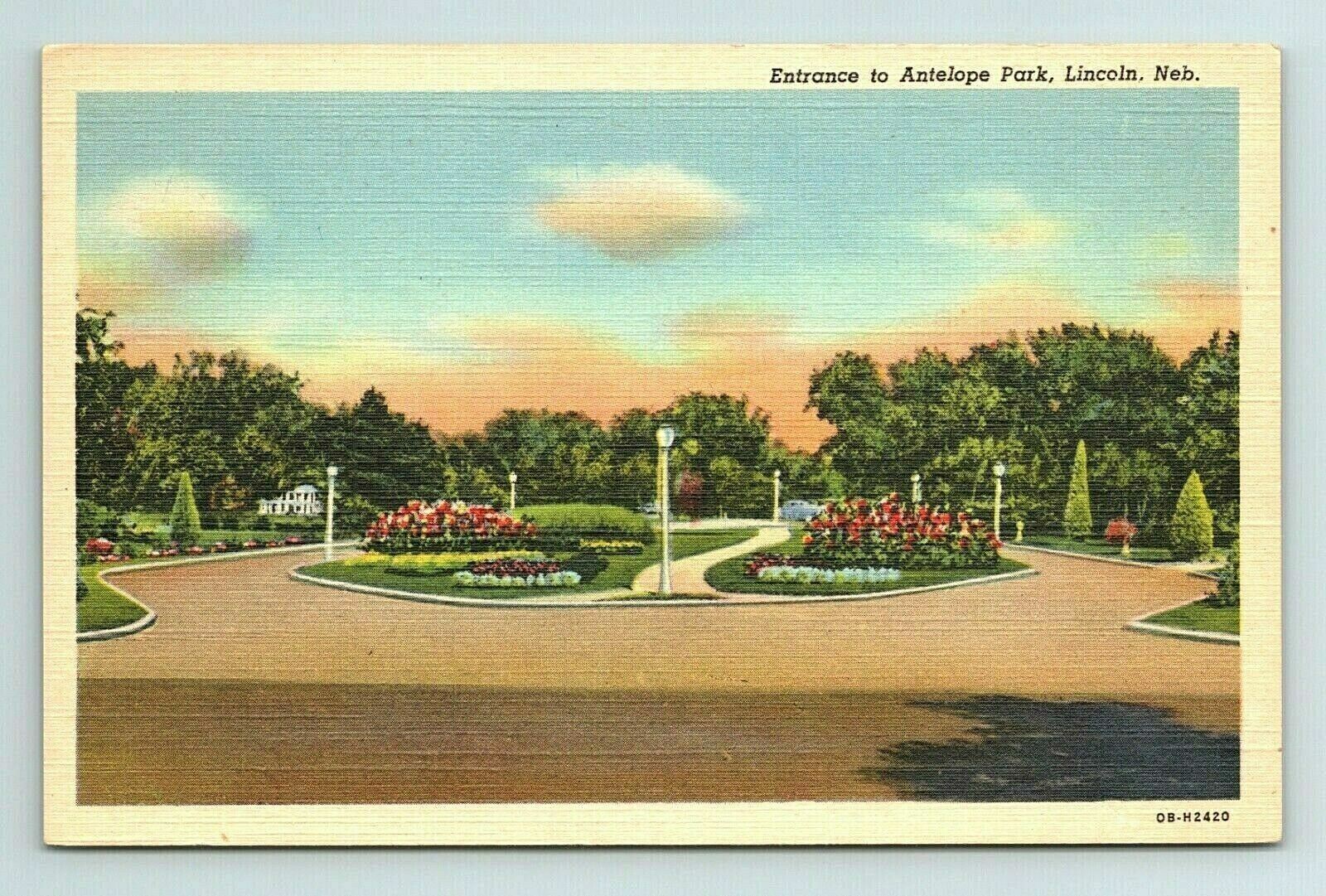 Antelope Park Lincoln Nebraska NE Postcard