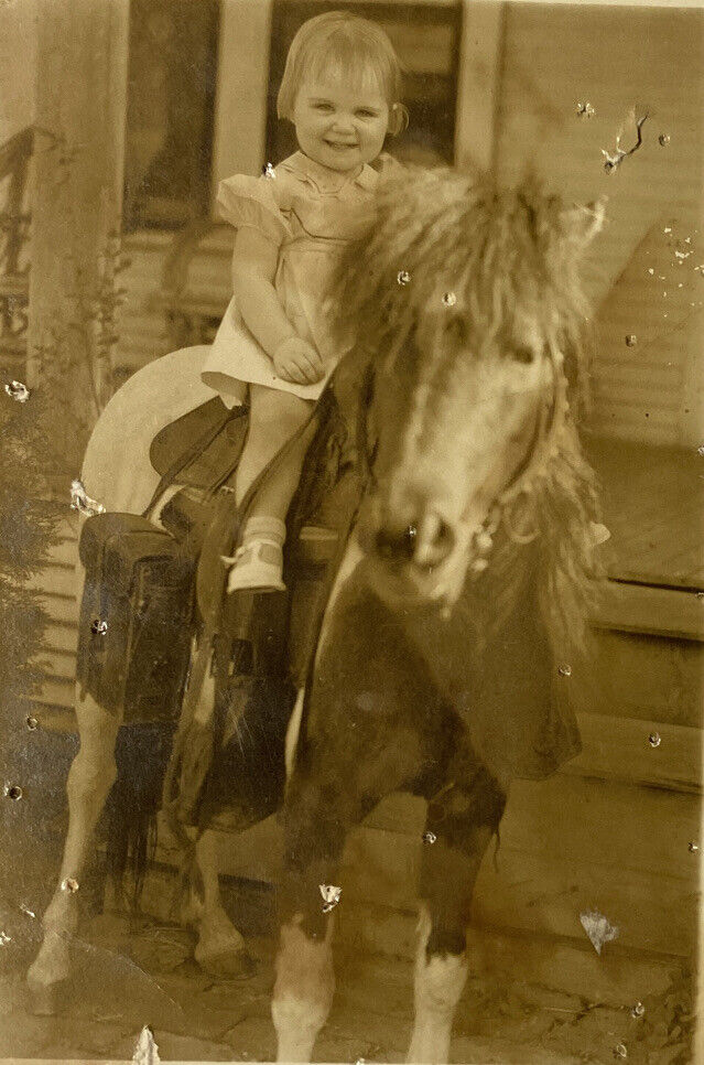 Vintage RPPC Postcard Little Girl On A Pony Portrait Black & White Early 1900s