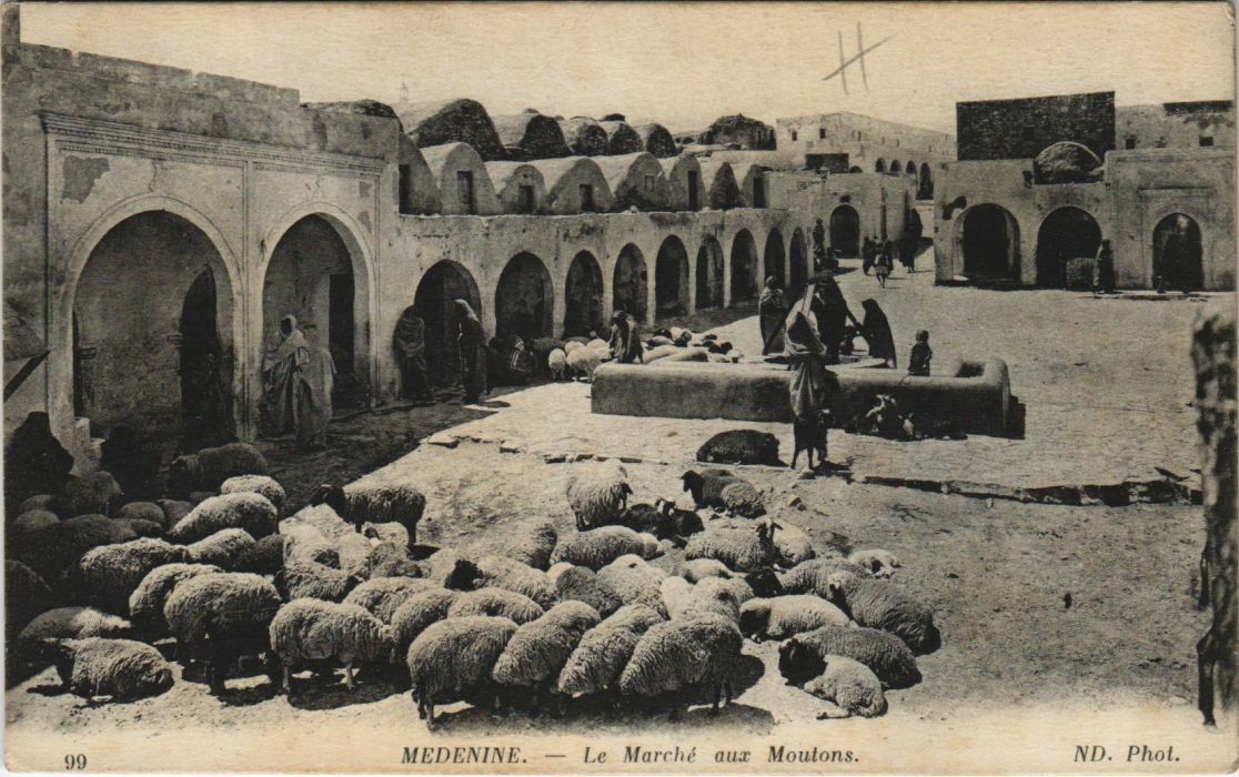 CPA AK TUNISIA Medenine Le Marche aux Moutons (1102826)