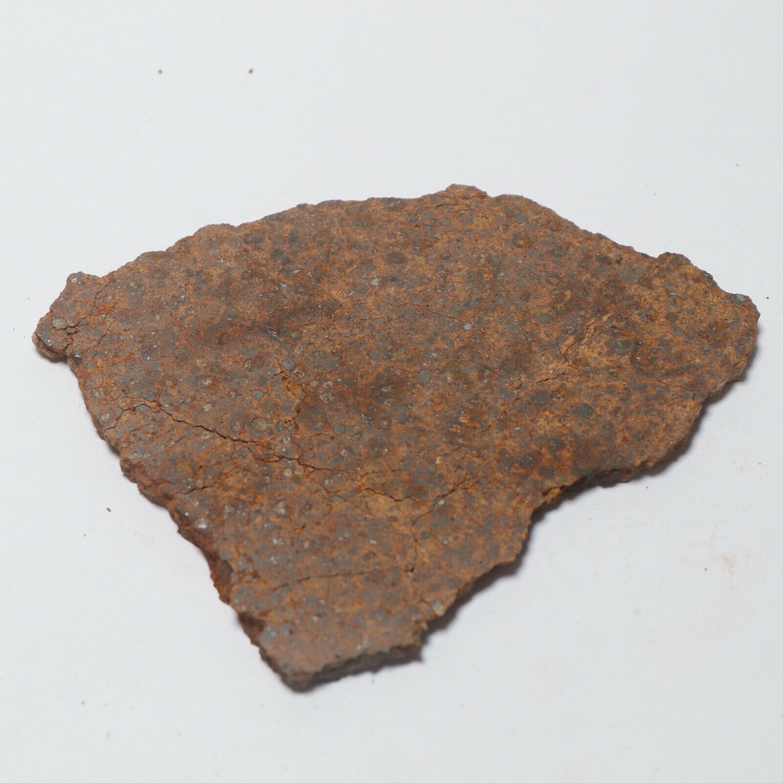 69 gram Unclassified NWA Meteorite Slice  A5386