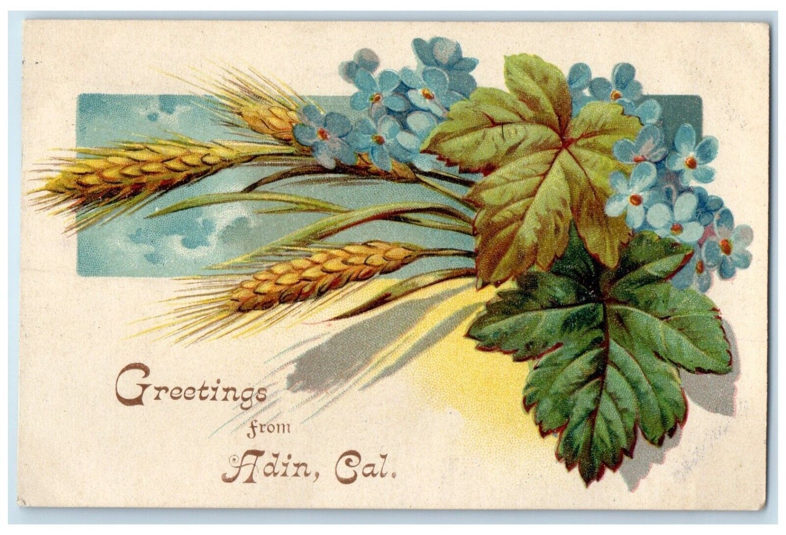 1908 Greetings From Flower Leaves Adin California San Francisco Vintage Postcard