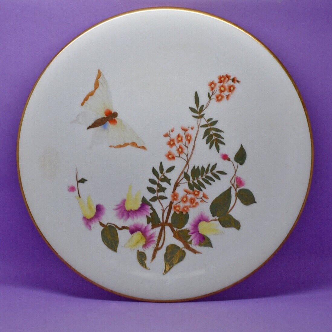 Royal Worcester 'Butterfly' Plate Antique England C1881