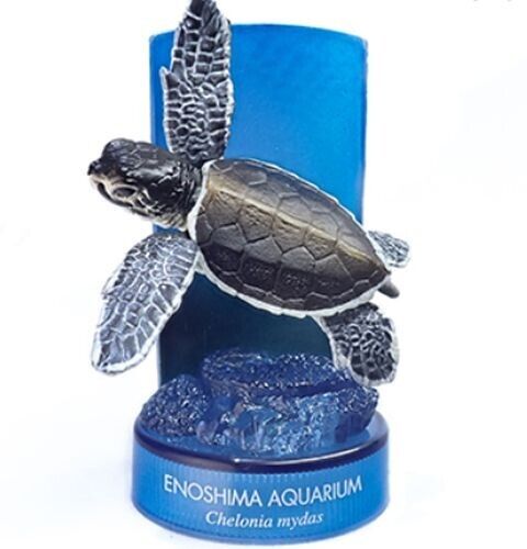 Kaiyodo Aquatales Enoshima Aquarium Bottle Cap Figure Green Sea Turtle juvenile