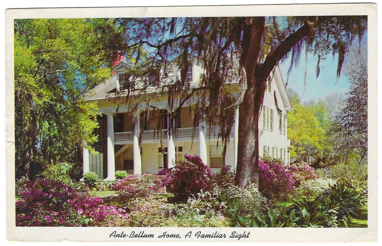 Vintage Louisiana Chrome Postcard Ante Bellum Home Beautiful Southland