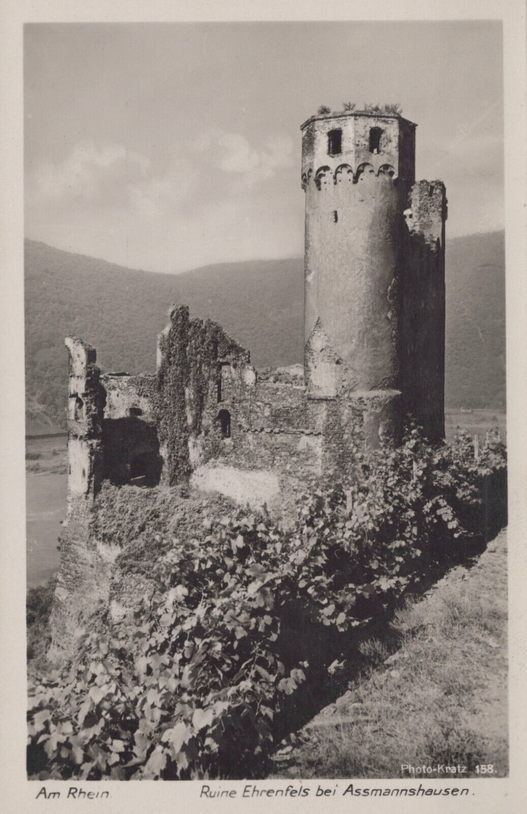 RPPC Ehrenfels Castle Ruins Hesse Germany Overlooking Rhine River Postcard