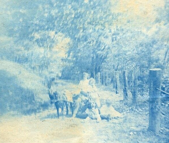 QT143 Original Vintage Photo CYANOTYPE GOAT CART CHILDREN DOG c Early 1900\'s