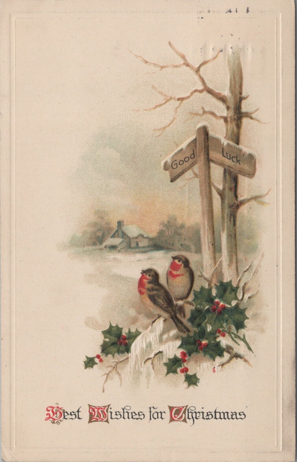 c1910s Christmas Wishes pair birds Good Luck sign holly embossed postcard C502