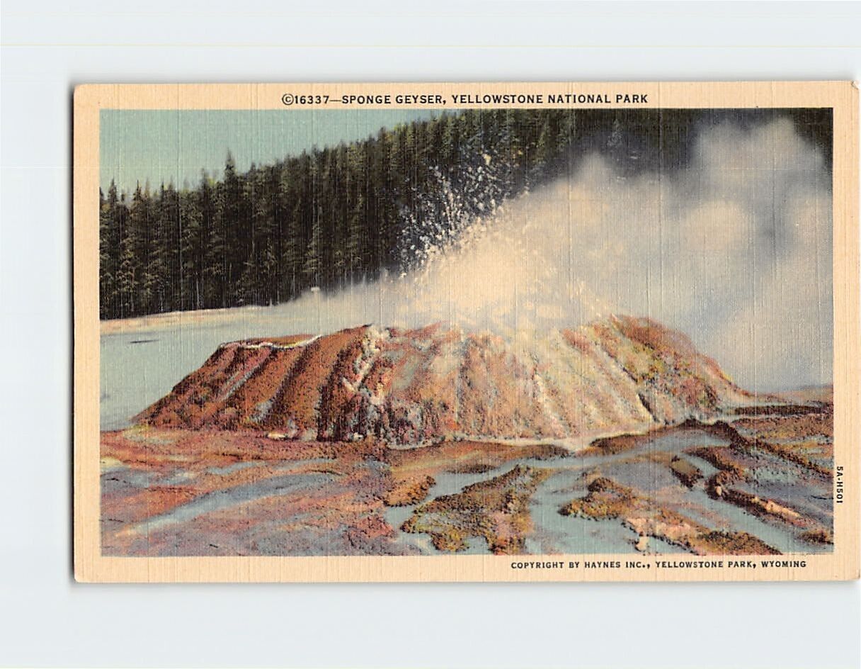Postcard Sponge Geyser Yellowstone National Park Wyoming USA