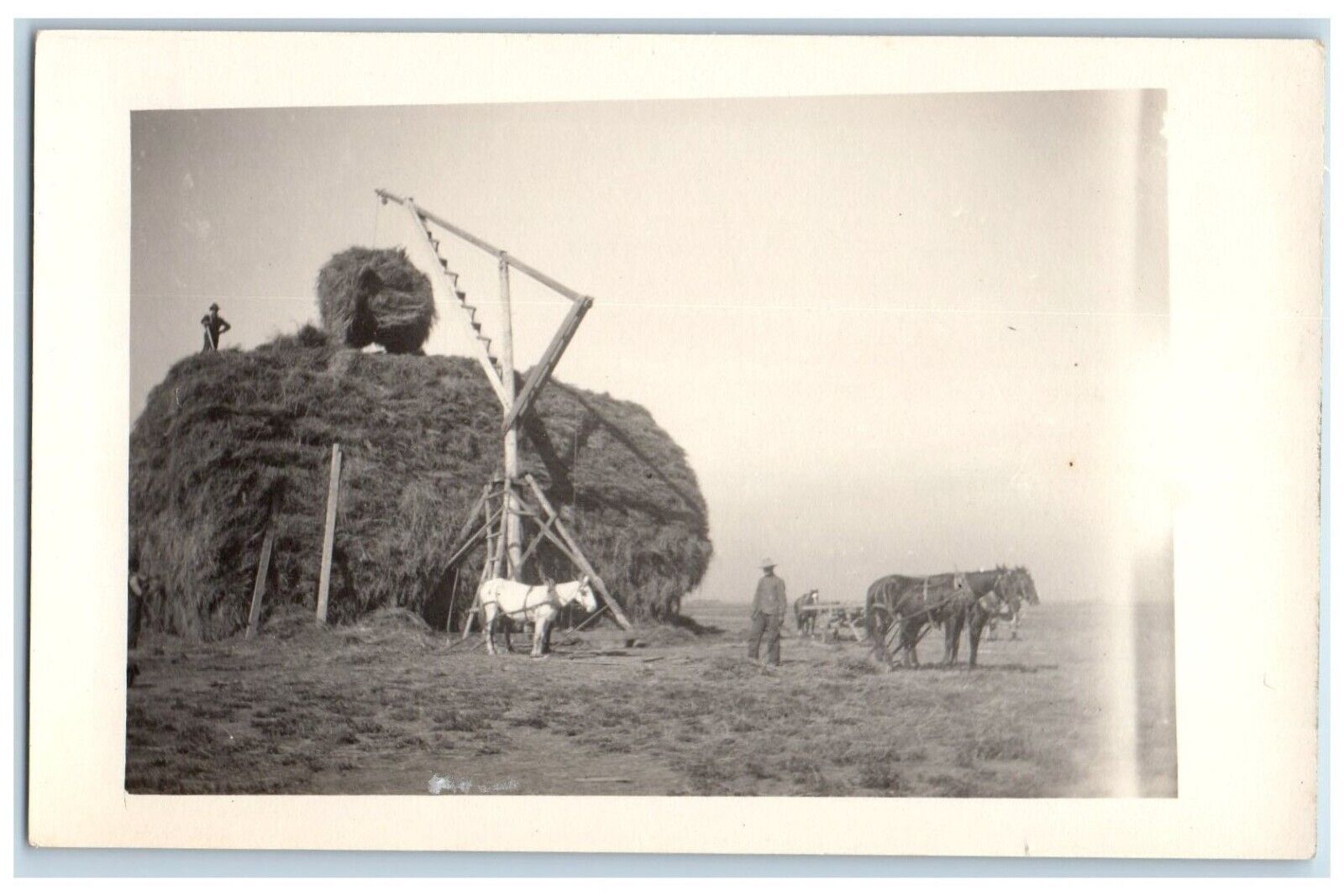 c1910\'s Giant Hay Bale Horse Team Farmers Farming Chadron NB RPPC Photo Postcard