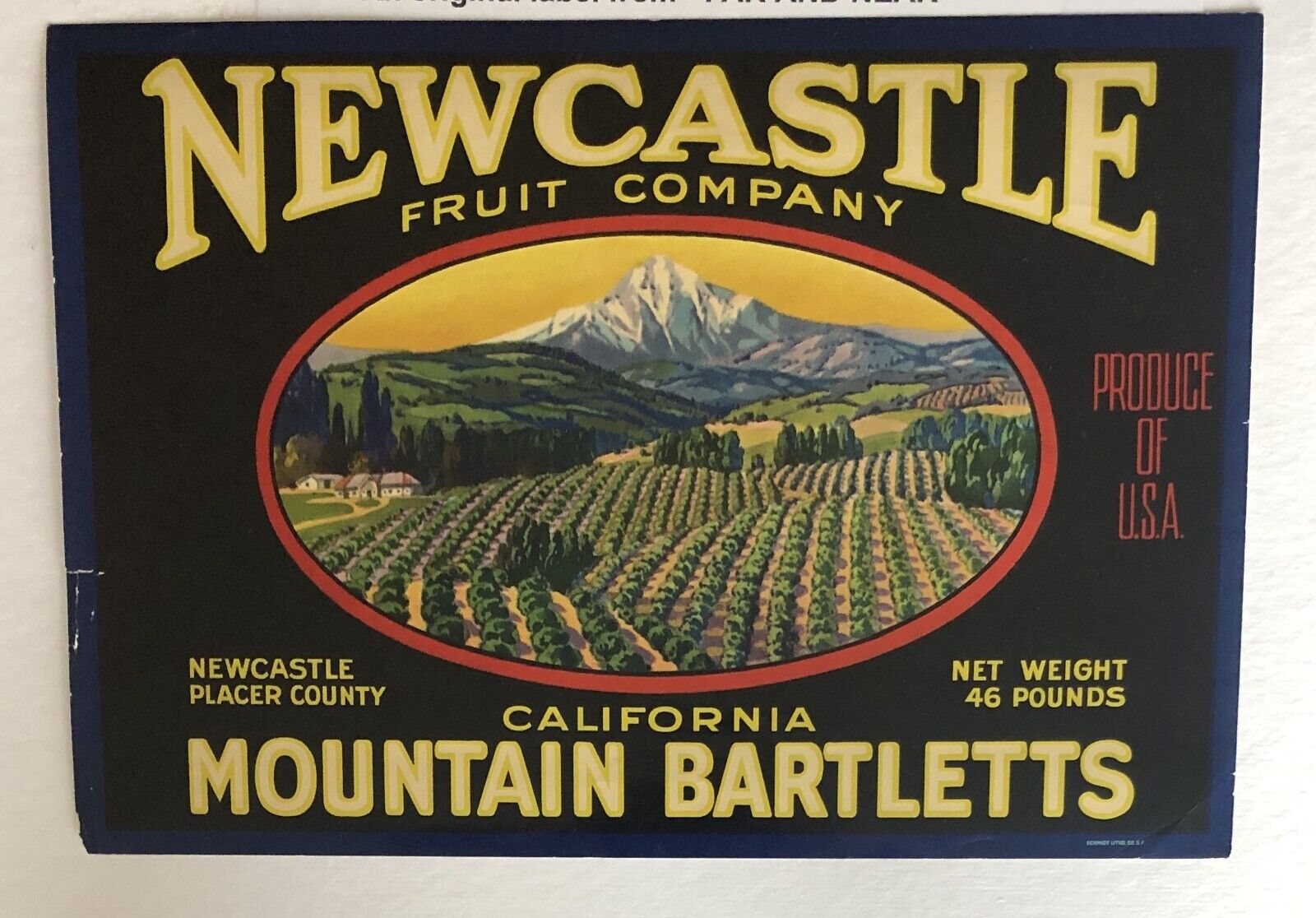 Newcastle  Brand Rare California  Pear Crate Label
