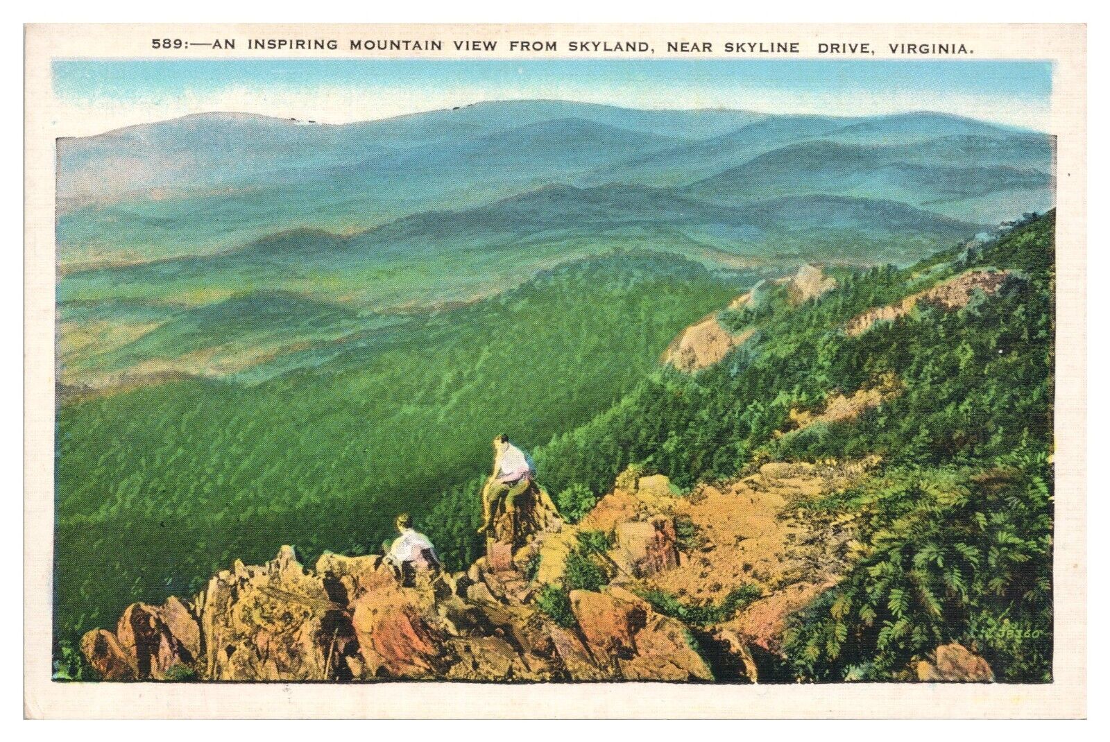 Vintage Mountain View from Skyland Skyline Drive VA Postcard Unposted WB