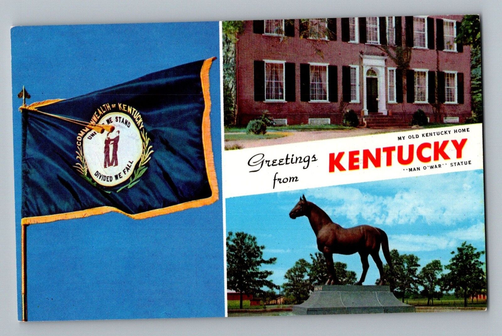 My Old Kentucky Home KY State Flag Man O War Statue Curt Teich Postcard 1958