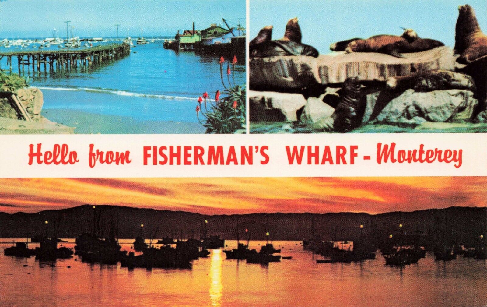 Postcard Fisherman\'s Warf Monterey California Walrus Boat