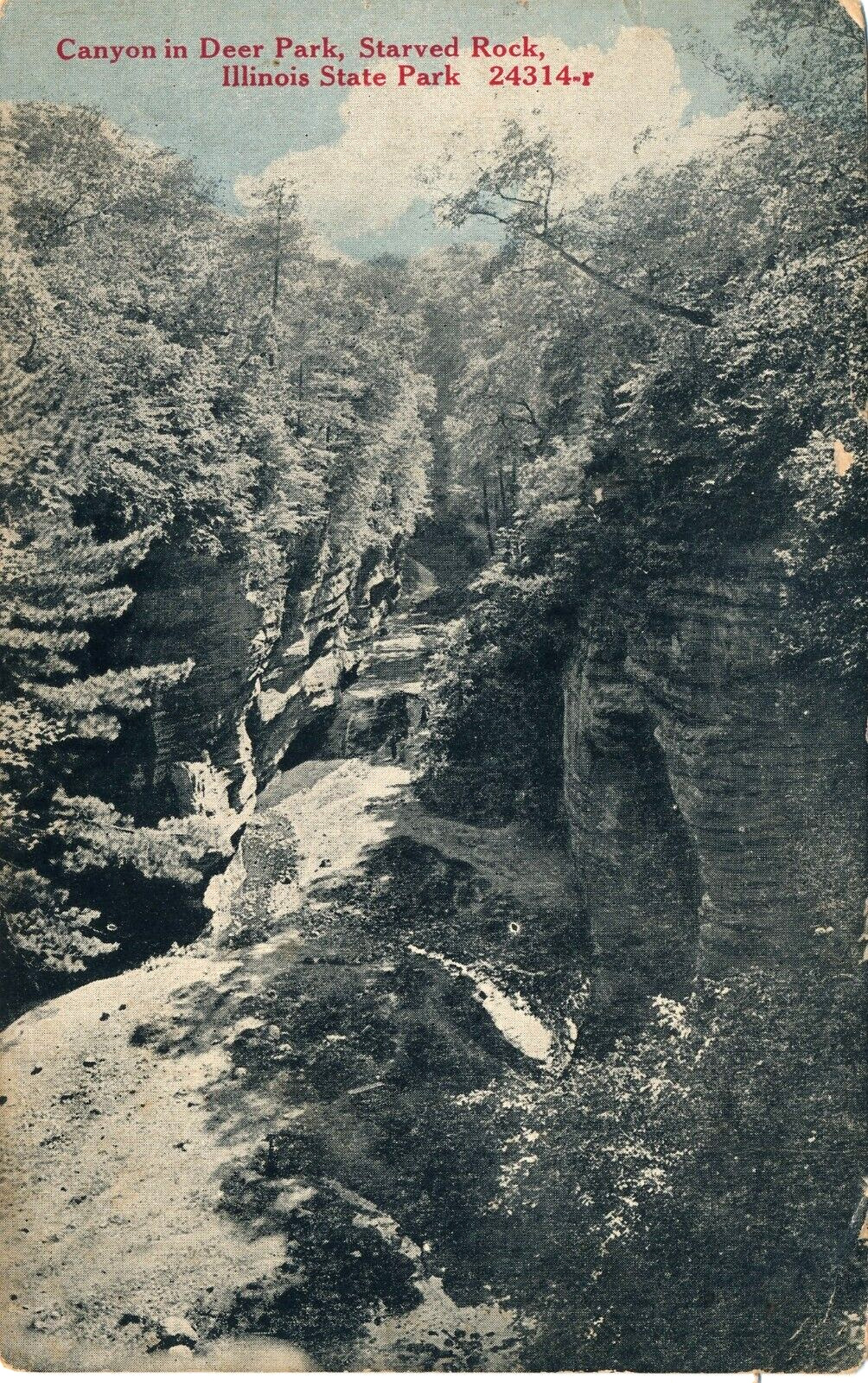 Canyon in Deer Park at Starved Rock State Park, IL 1923 posted postcard