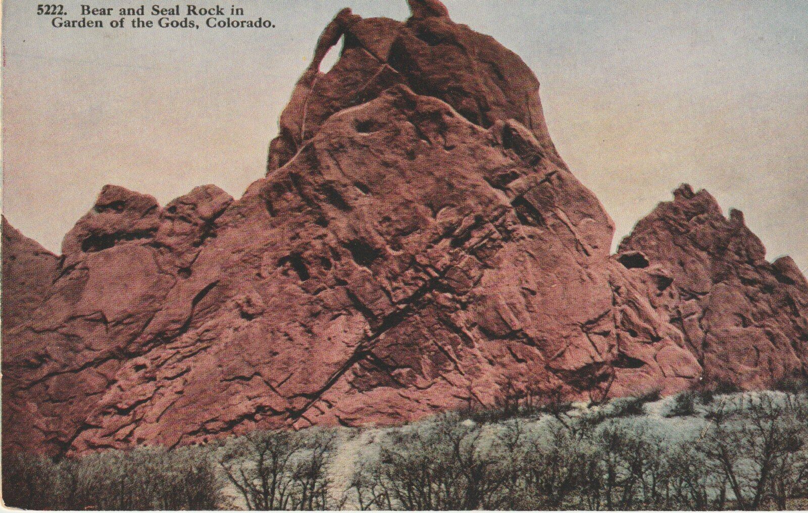 Vintage Unposted Postcard Chrome Colorado Bear And Seal Rock