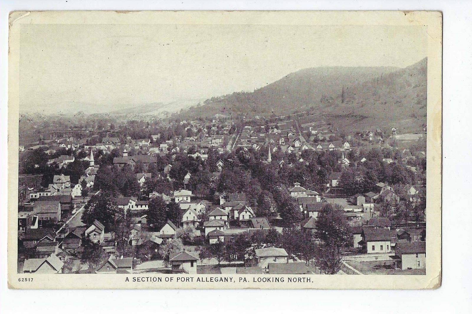 A Section of Port Allegany Looking North Postcard Pennsylvania Flag Cancel c1925