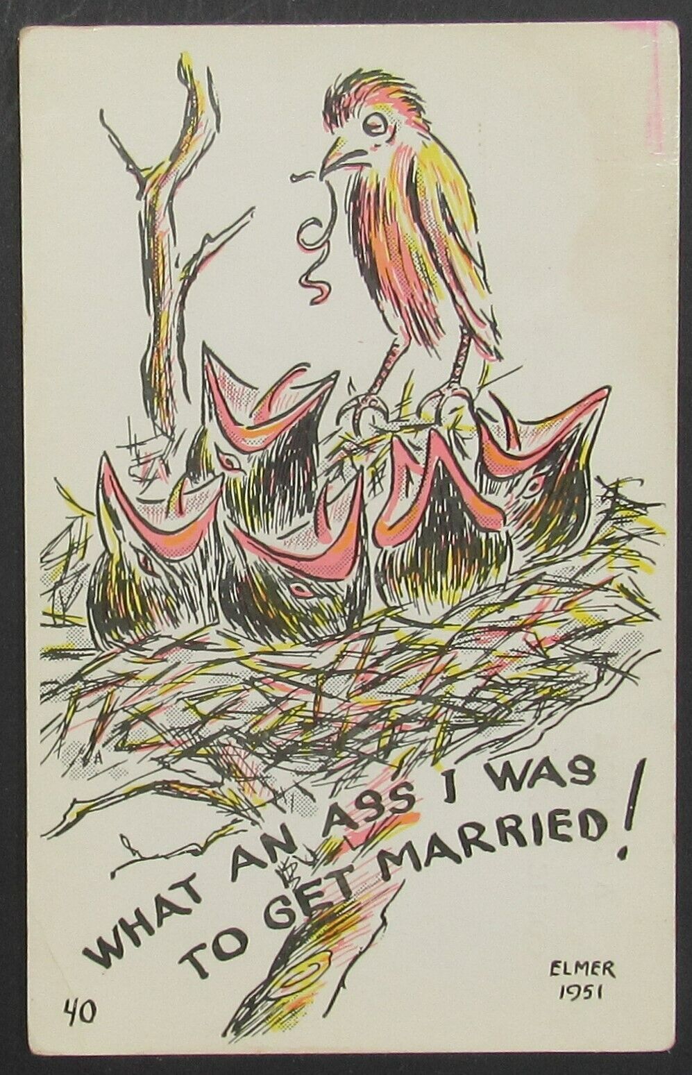 Bird Nest What an Ass I Was to Get Married Vintage Elmer Comic Postcard Unposted