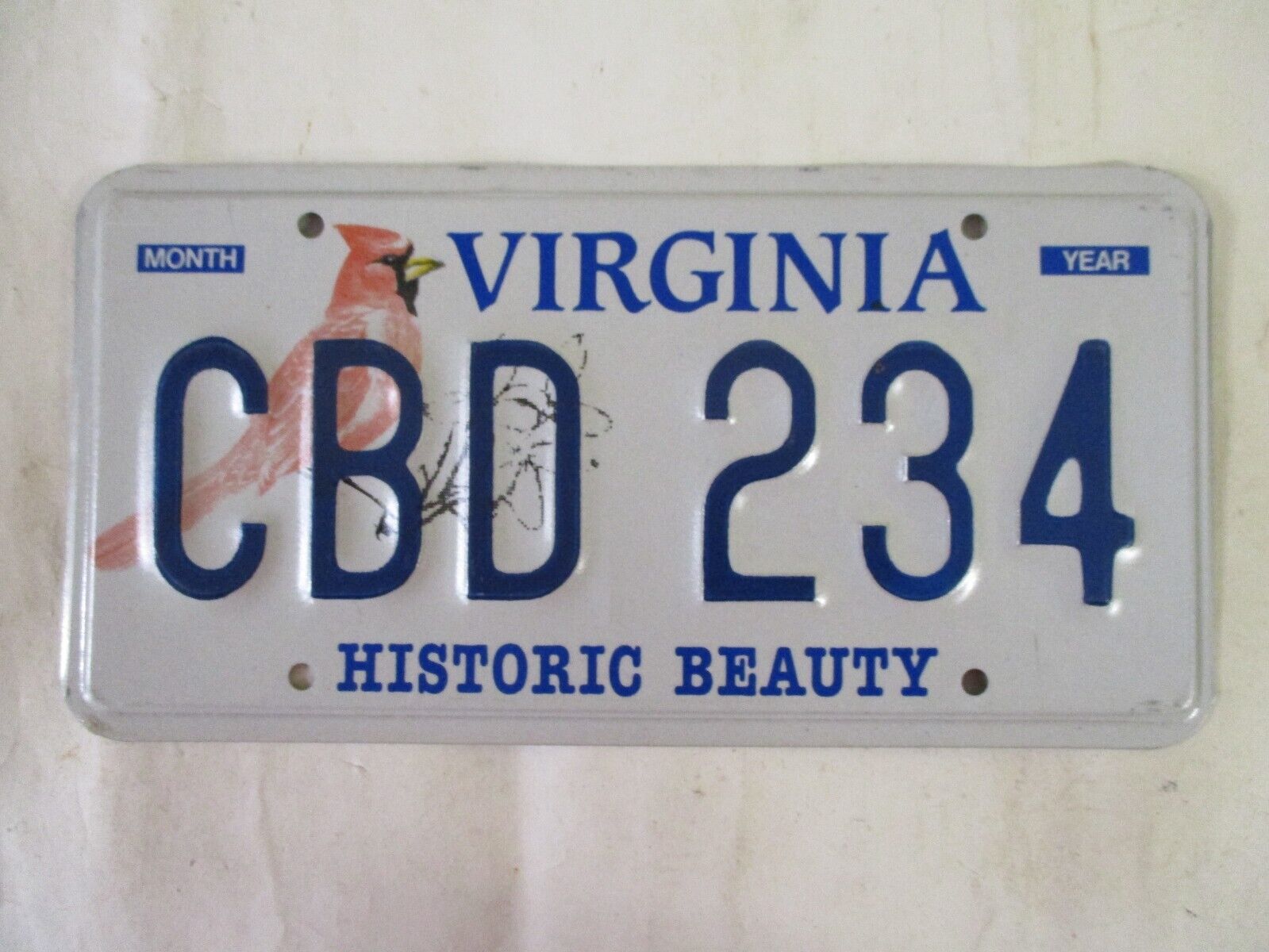 1990s Virginia HISTORIC BEAUTY PROTOTYPE License Plate Tag
