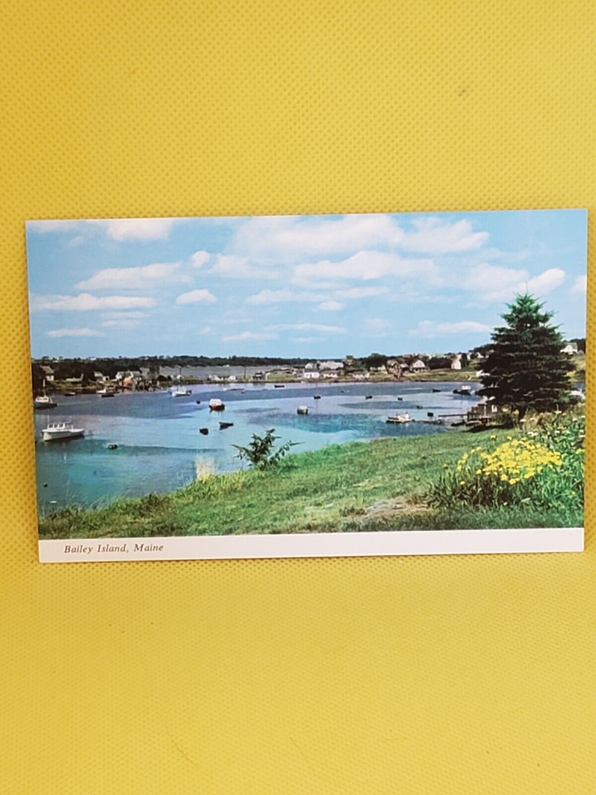 Mackerel Cove Bailey Island Fishing Village Resort Maine Postcard #254