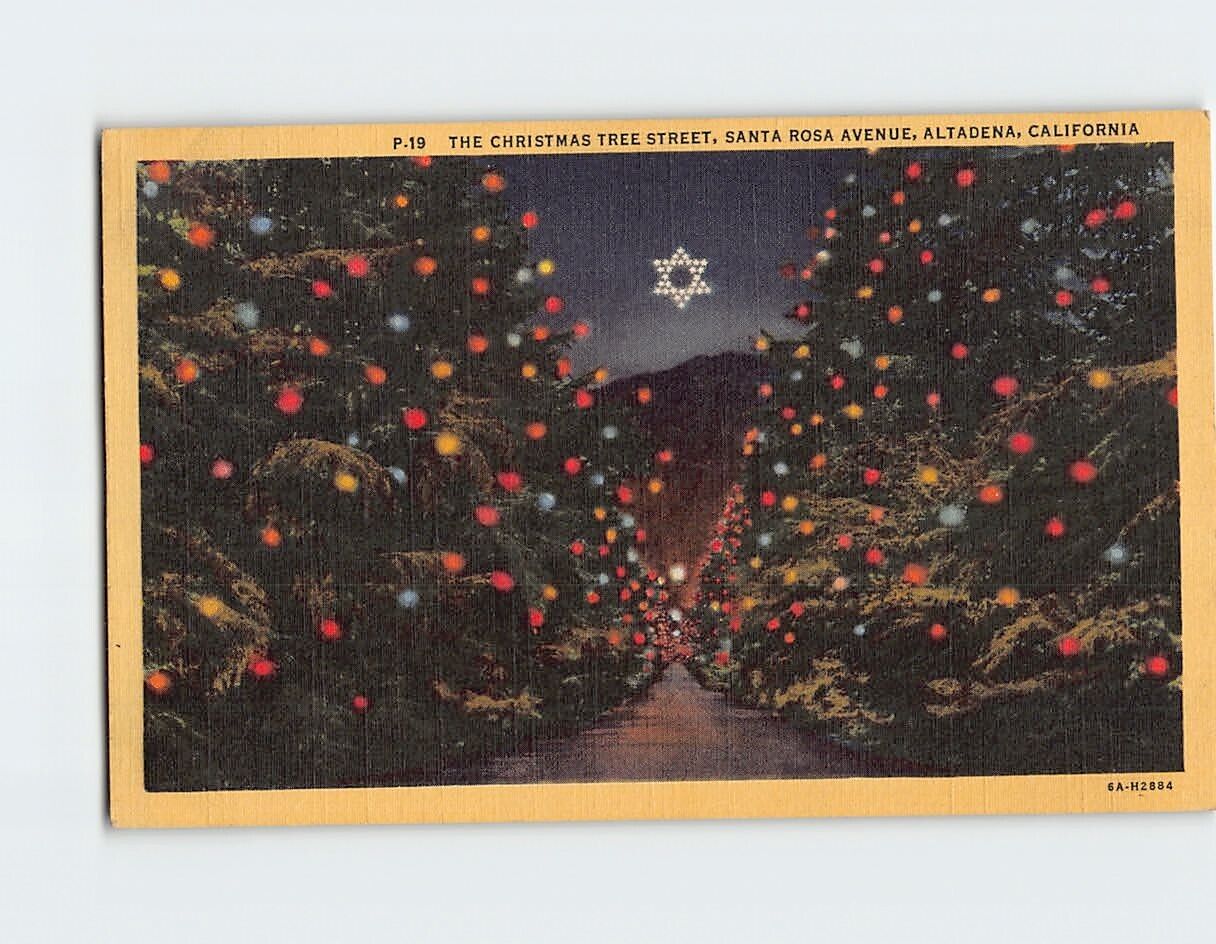 Postcard The Christmas Tree Street Santa Rosa Avenue Altadena California USA