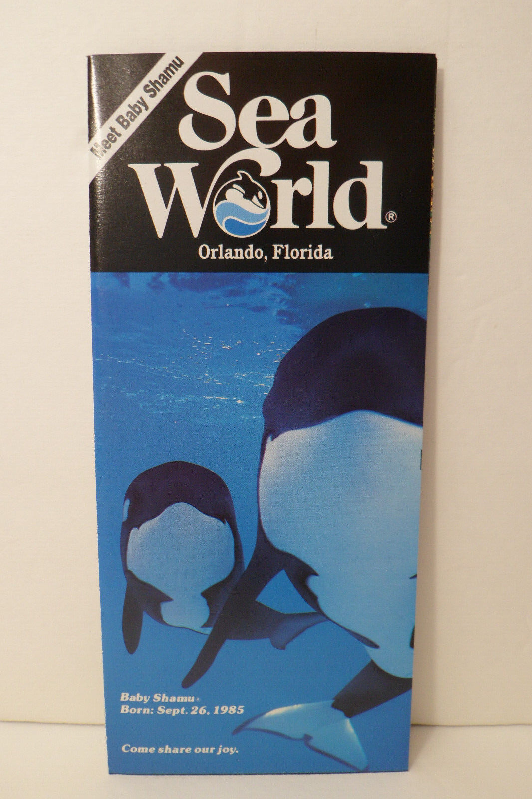 1985 Sea World Orlando Florida Meet Baby Shamu Born Sept. 1985 Vintage Brochure