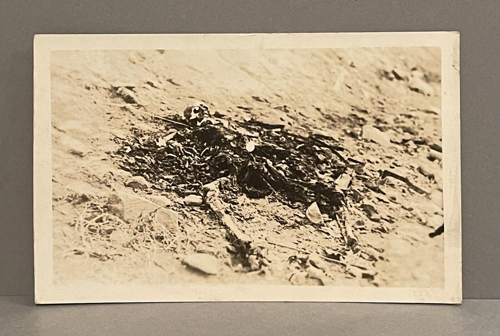 Early 1900’s RPPC of Skeletal Remains (possibly a battlefield)