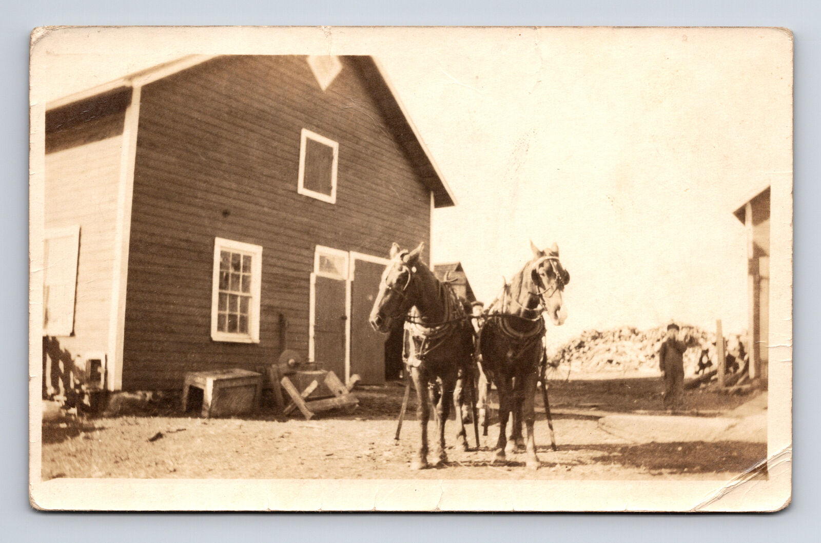 RPPC Two Horses & Farm Men Farmers Postcard