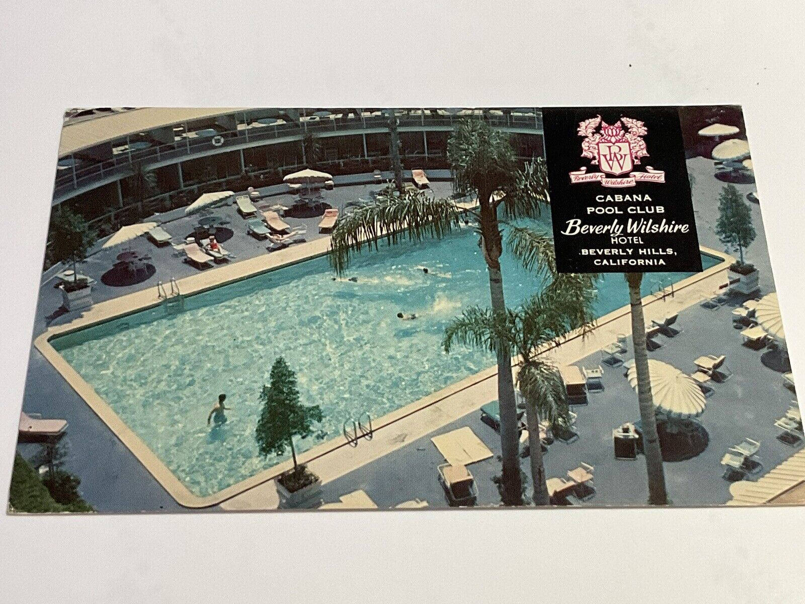 Beverly Wilshire Cabana Pool Club Postcard CA Beverly Hills