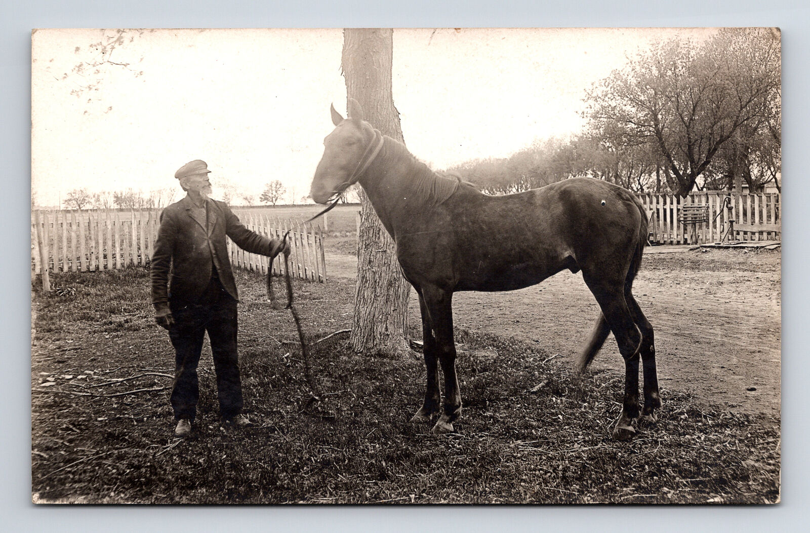 RPPC Older Man and Horse at Country Farm Real Photo Postcard