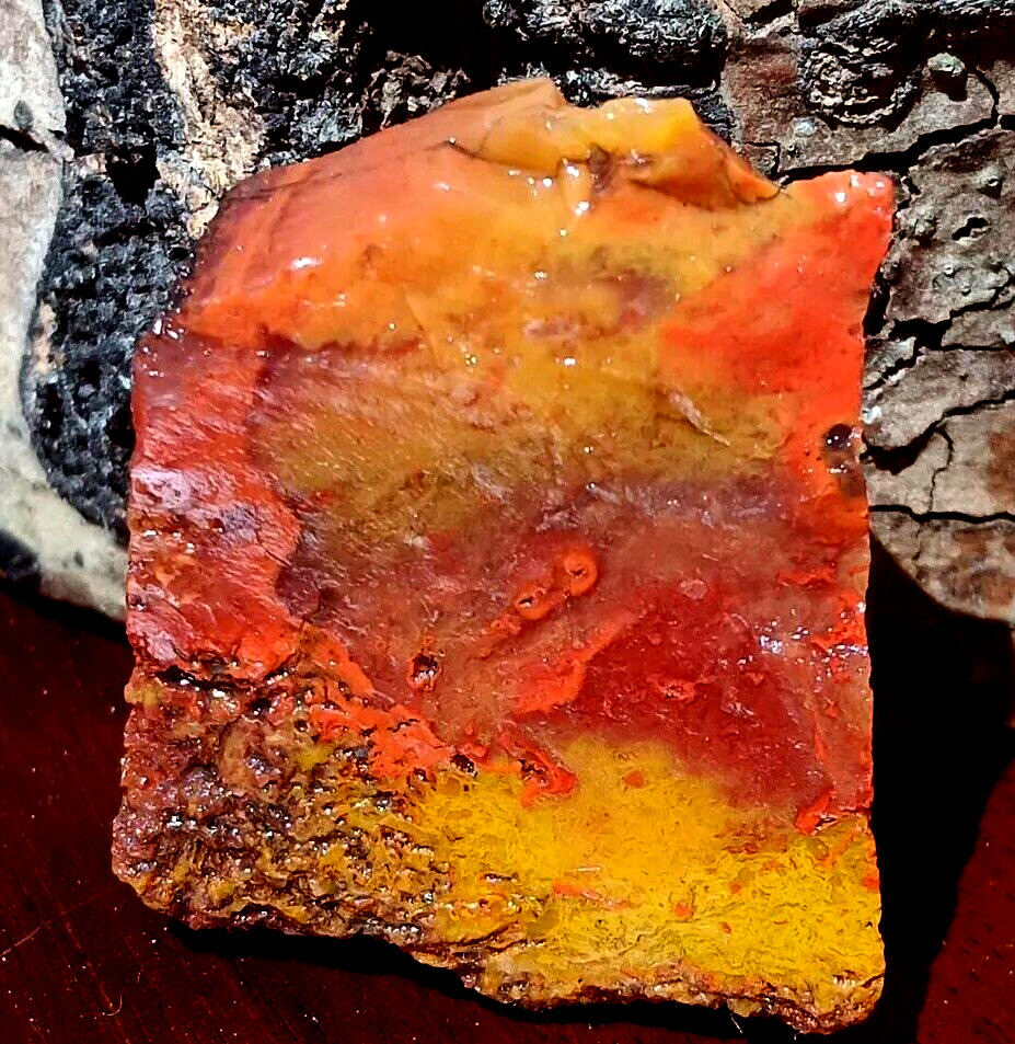 Volcanic Petrified Wood Limb Cast  Orange Red Yellow Translucent W Inclusions 