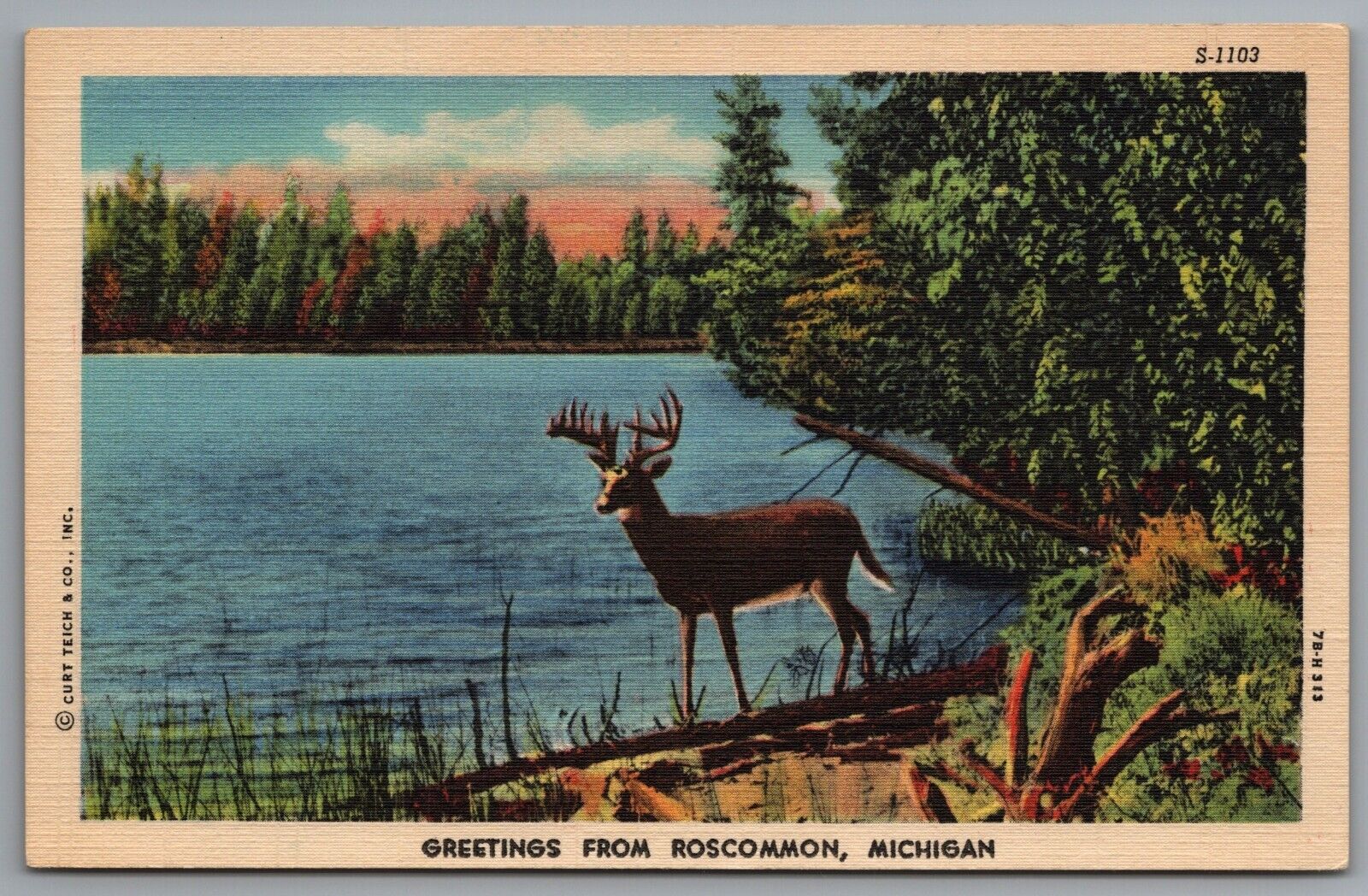 MI Greetings from Roscommon MI Michigan c1947 Linen Postcard White Tail Deer