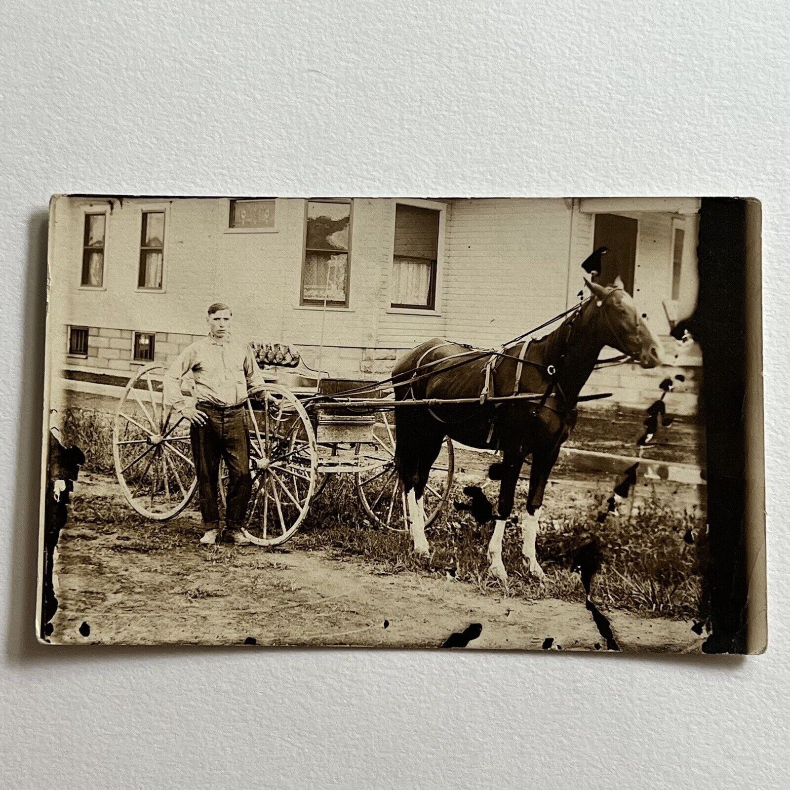 Antique RPPC Real Photograph Postcard Horse Drawn Wagon Handsome Young Man Fred