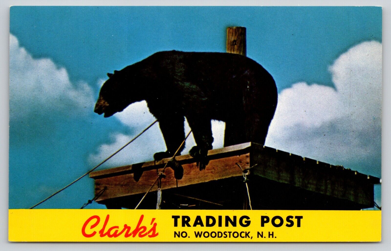 Postcard NH Woodstock Clark\'s Trading Post Black Bear UNP B12