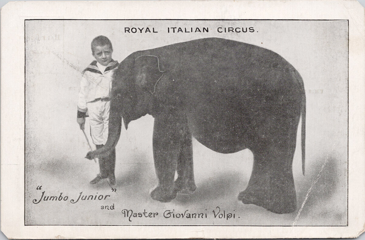 'Jumbo Junior' Elephant Giovanni Volpi Royal Italian Circus Postcard G33 *as is