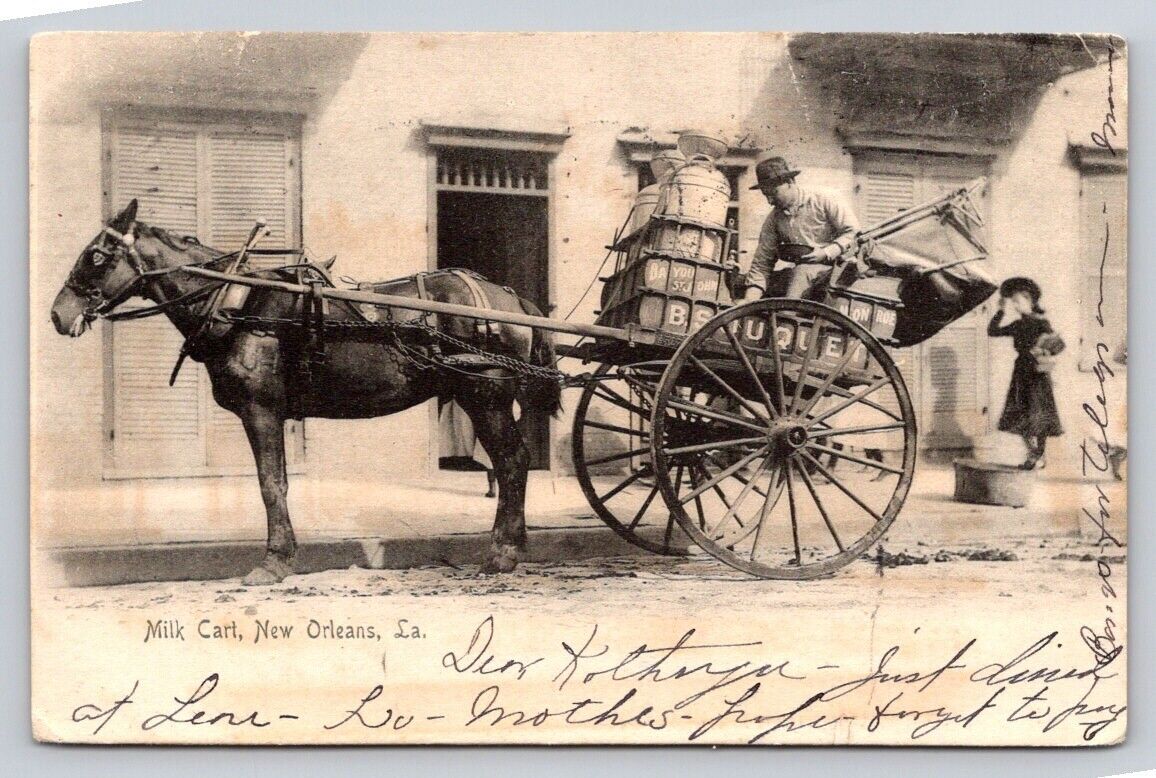 c1905 Rotograph Milk Cart Delivery Man New Orleans Louisiana P14A