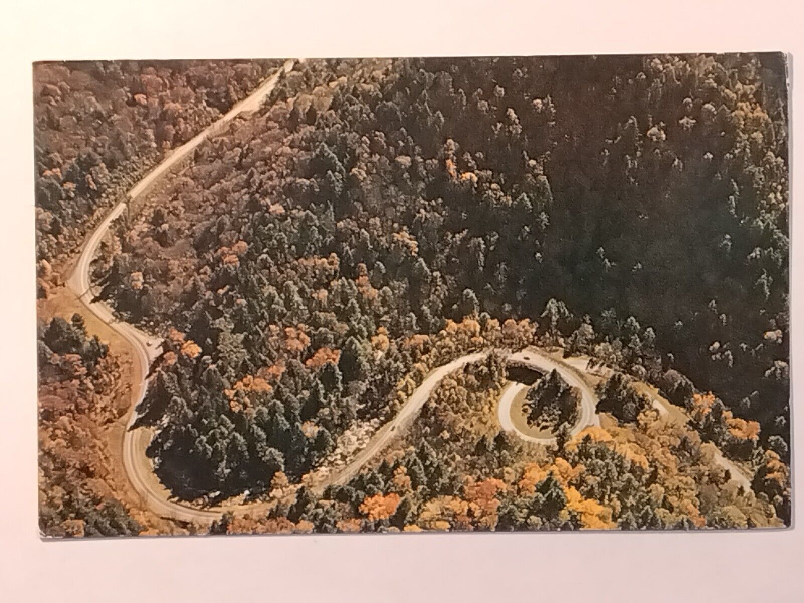 Eagle Eye View Of Loop 441 Overpass  Postcard