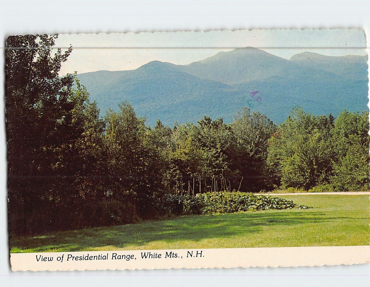Postcard View of Presidential Range White Mts. New Hampshire USA