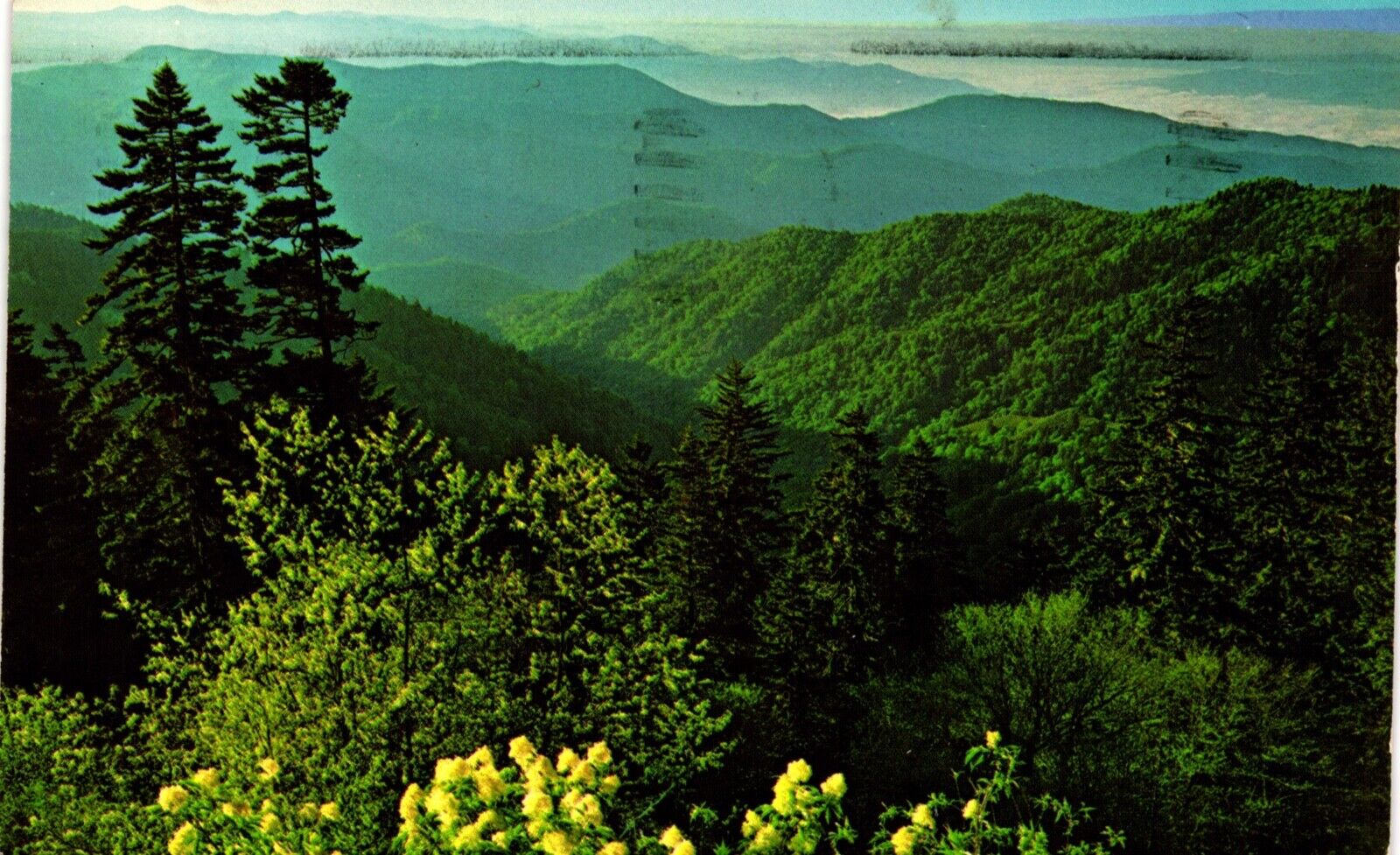 Postcard looking from Highway to Clingmans dome smoky mountains National park NC