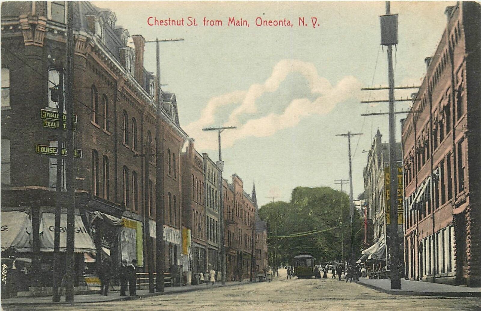 Postcard 1908 New York Oneonta Chestnut Street Main Department Store 24-5223