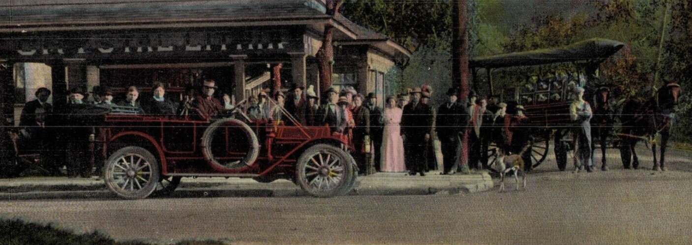 C1910 Crystal Lithia Spring MO. Horse Dog Wagon Family Kids Antique Postcard