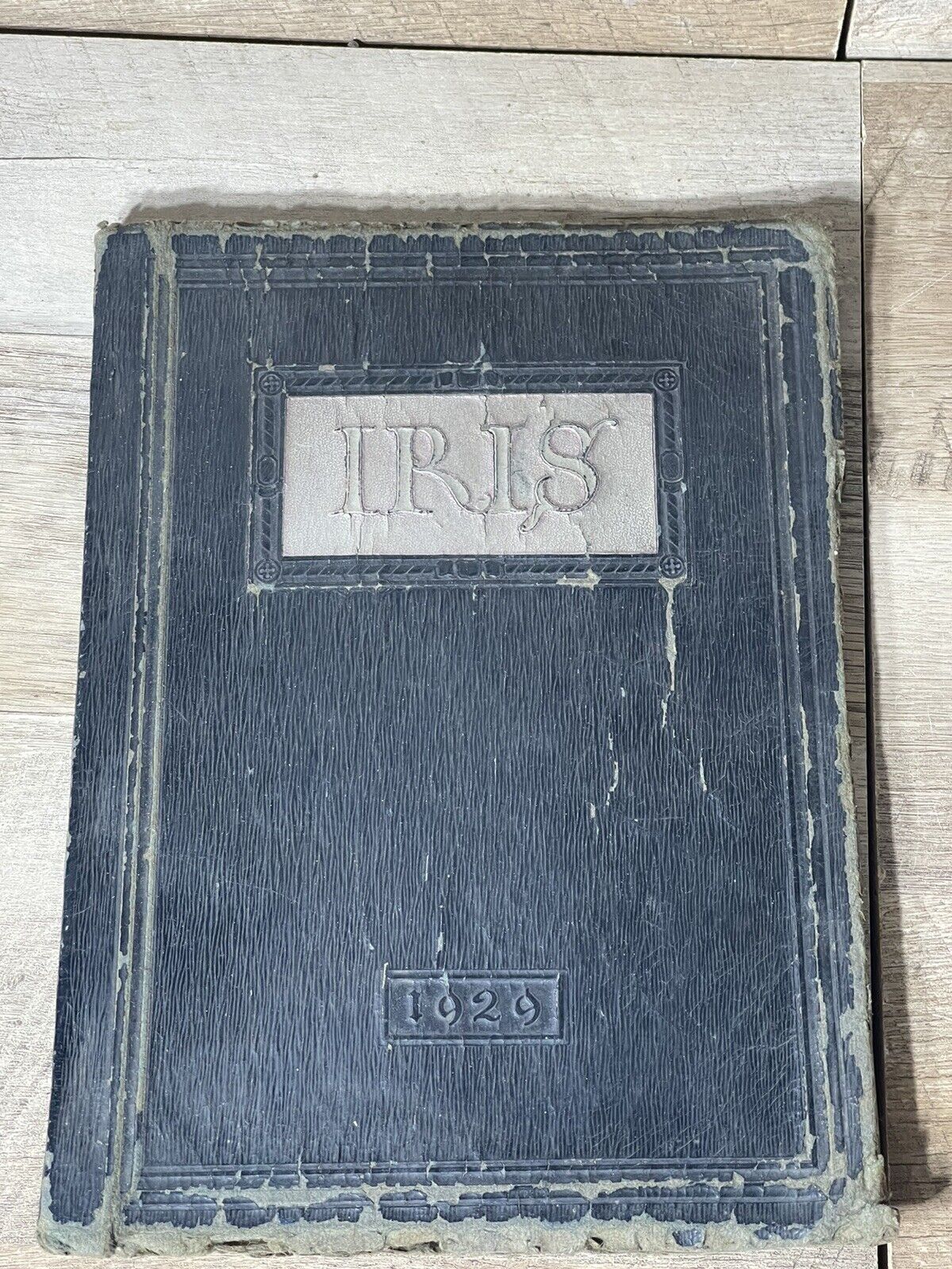 1929 The Iris Minor High School Yearbook Ensley Alabama 