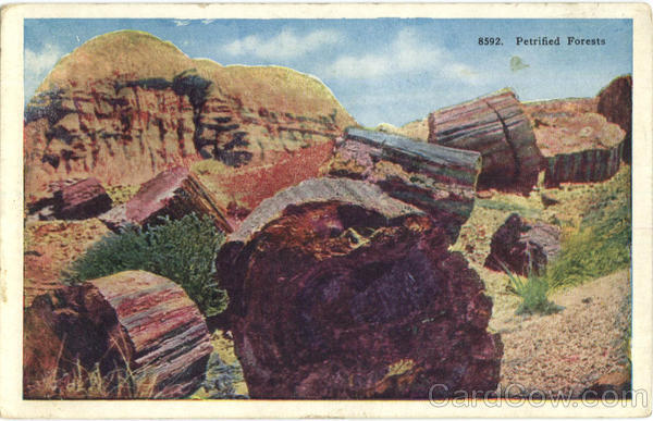 1936 Flagstaff,AZ Petrified Forests Coconino County Arizona Postcard 1c stamp