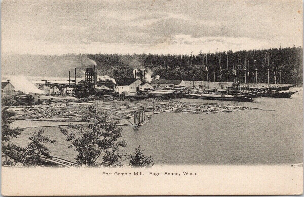 Port Gamble Mill Puget Sound WA Washington Unused Postcard F21