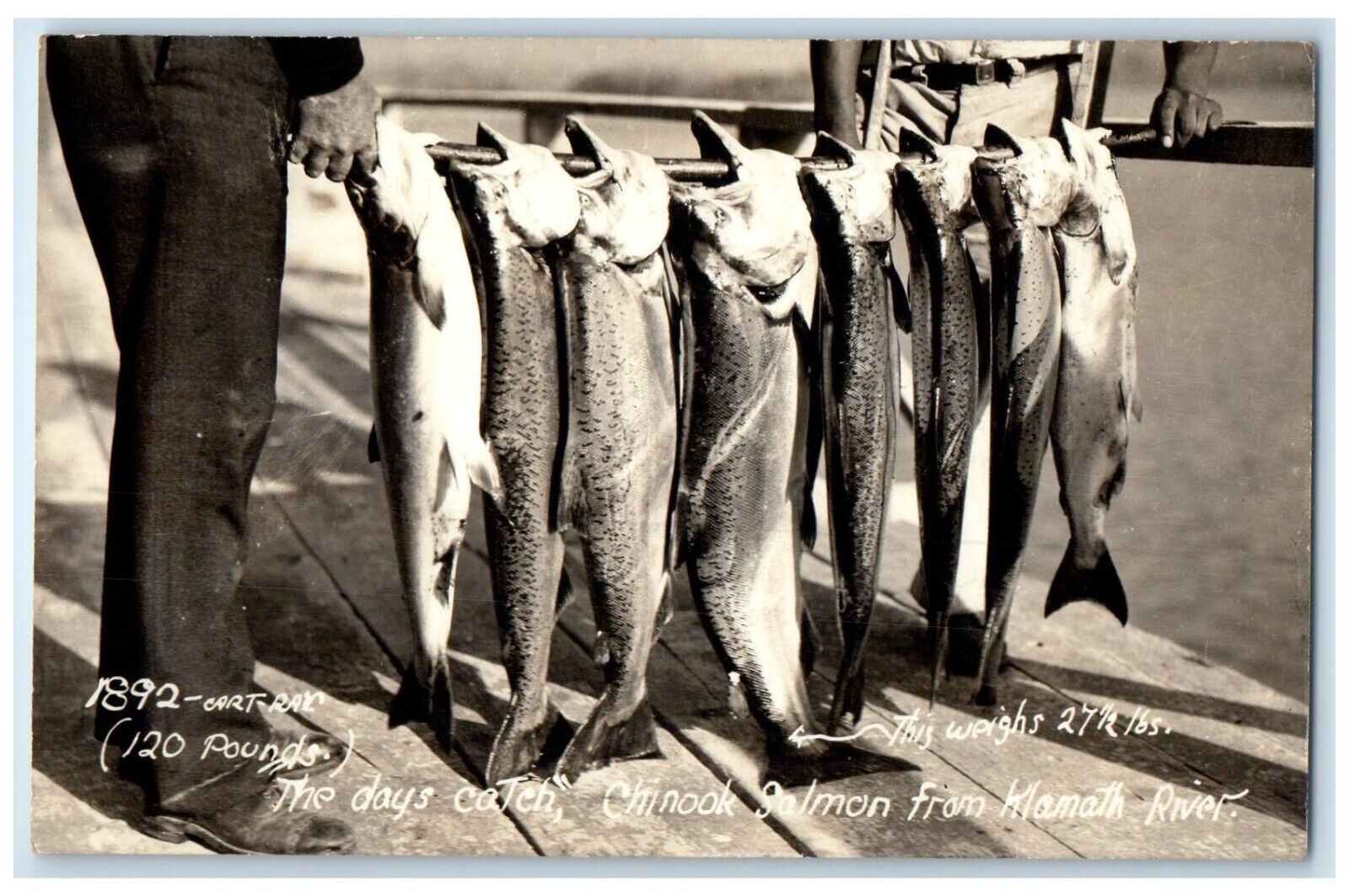 c1940's The Days Catch Chinook Salmon From Klamath River RPPC Photo Postcard