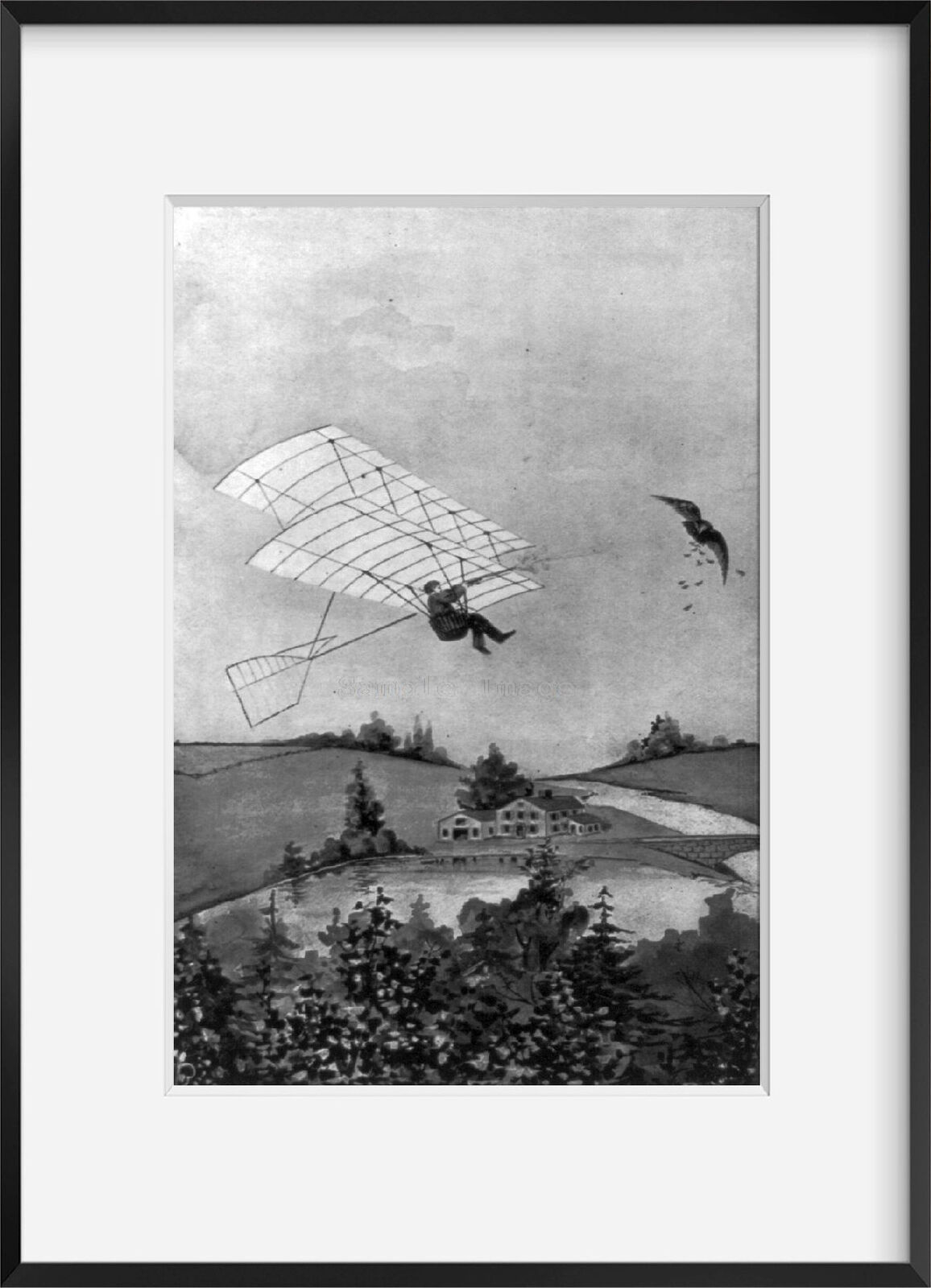 Photo: Man aloft in glider beside bird, 1899