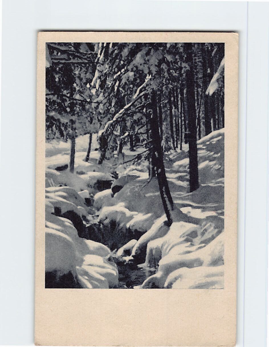 Postcard Winter Forest Scene