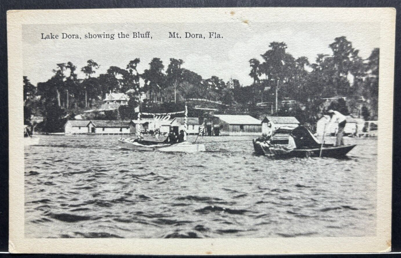 Postcard Lake Dora Showing Bluffs Mt. Dora Fla. c-1920