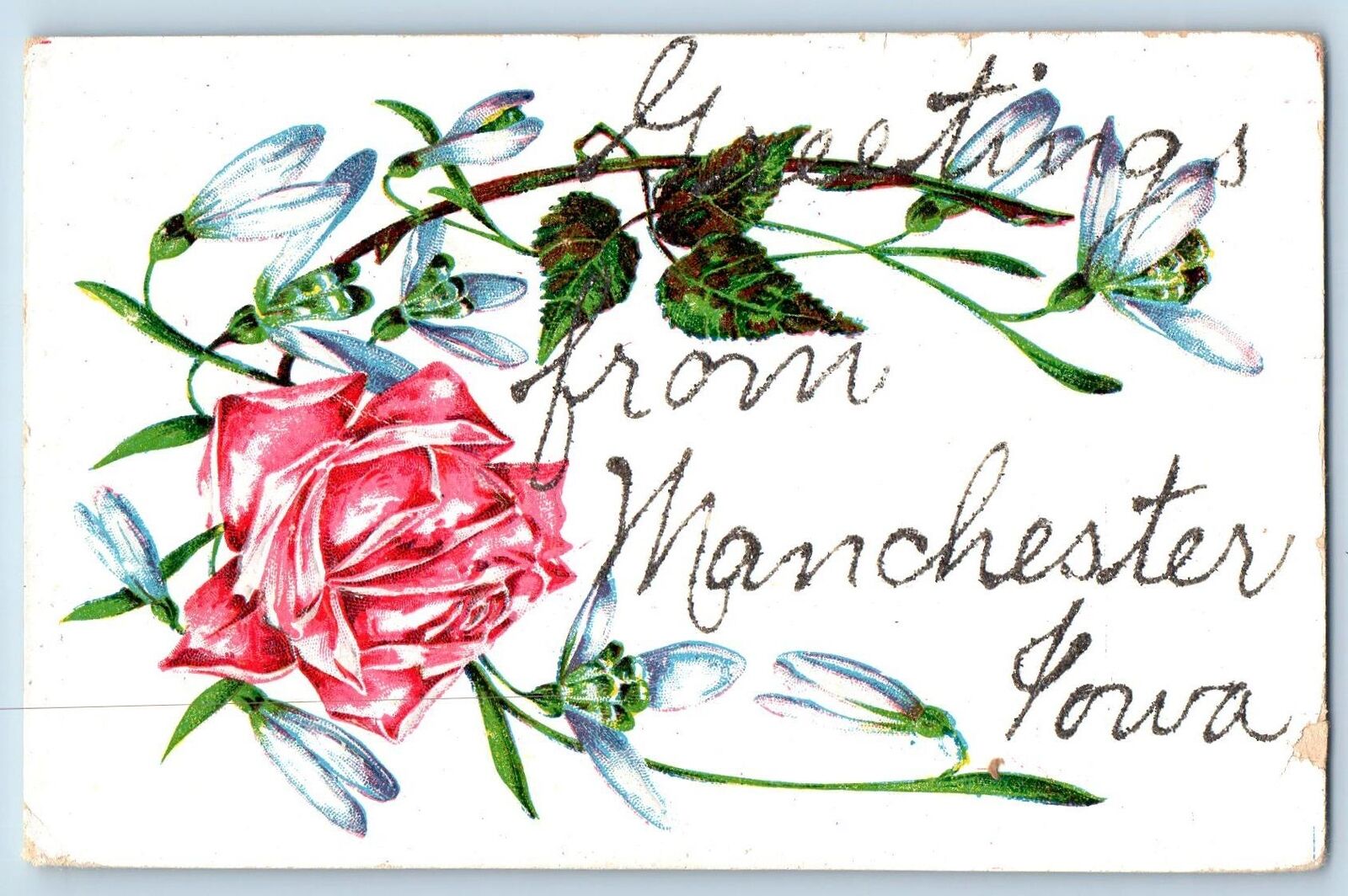 Manchester Iowa IA Postcard Embossed Flower And Leaves Scene c1910's Antique
