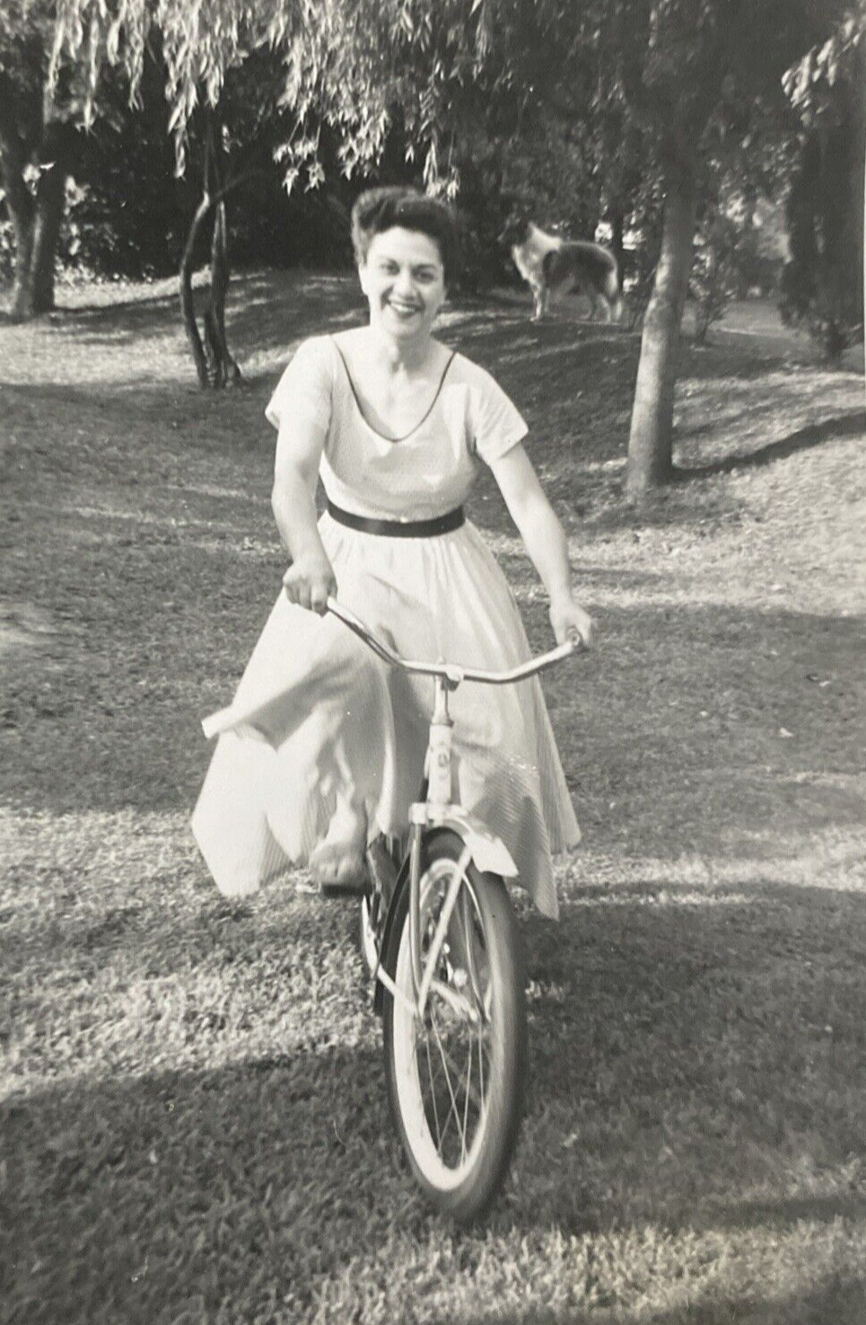1958 Pretty Beautiful Woman Smiling Riding Bike Bicycle Collie Dog Photo P12q24