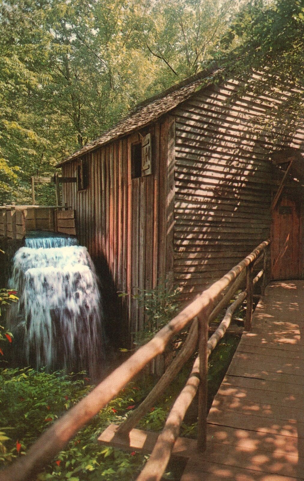 Vintage Postcard John P. Cable Mill Great Smoky Mountains National Park Cove